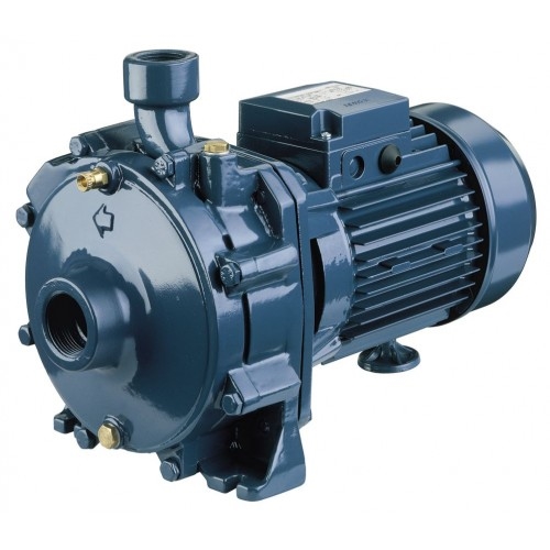 Bơm đĩa 2 tầng cánh EBARA CDA/A 0.75 T